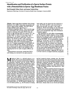 Identification and Purification of a Sperm Surface Protein with a