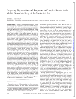 Frequency Organization and Responses to Complex Sounds in the