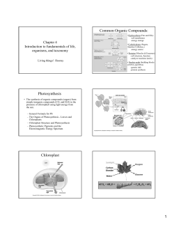 Common Organic Compounds: Photosynthesis Chloroplast