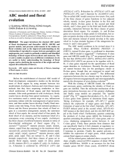 ABC model and floral evolution