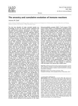 The ancestry and cumulative evolution of immune reactions