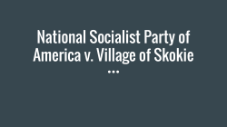 National Socialist Party of America v. Village of Skokie