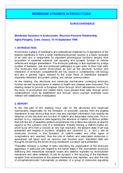membrane dynamics in endocytosis