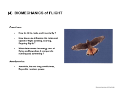 BIOMECHANICS of FLIGHT