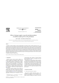 Effect of nitrogen supply on growth and photosynthesis of sunflower