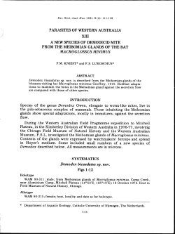 parasites of western austalia xiii a new species of demodicid mite