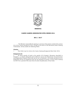 Casino Gaming (Designated Site) Order 2016