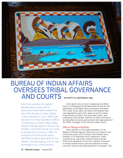 oVeRsees tRiBAL GoVeRnAnCe AnD CoURts