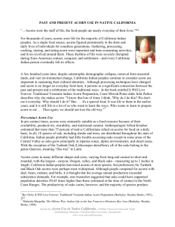 past and present acorn use in native california