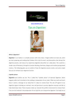 Tips on Digestion