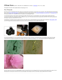 Macro Photography - Canadian Institute of Gemmology