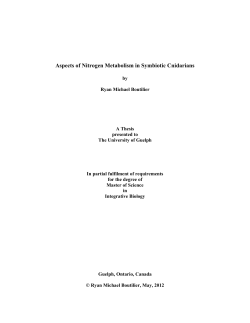 Aspects of Nitrogen Metabolism in Symbiotic Cnidarians
