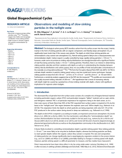 Observations and modeling of slow‐sinking particles in the twilight