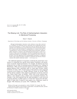 The Missing Link: The Role of Interhemispheric
