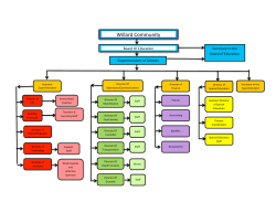 Chain of Command Flow Chart