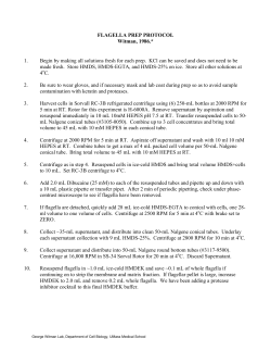 Flagella Prep Protocol