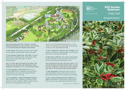 RHS Garden Rosemoor Holly Trail leaflet