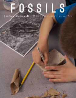 Jeffery Cornwall - Fossils