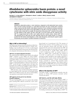 Full Text  - Biochemical Society Transactions