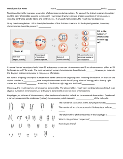 Nondisjunction and Chromosomal Disorders