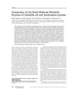 Comparison of the Small Molecule Metabolic Enzymes of