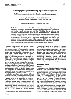 Cartilage proteoglycan binding region and link protein