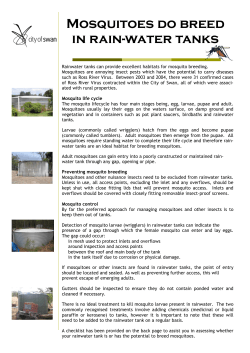 Mosquitoes and rainwater tanks