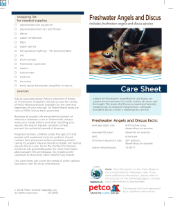 Freshwater Angels and Discus Care Sheet
