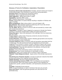 Presentation Materials