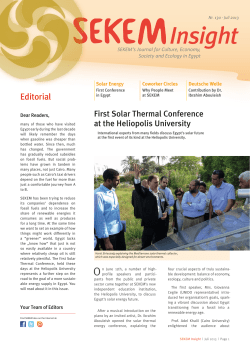 SEKEM Insight &ndash; 07.2013