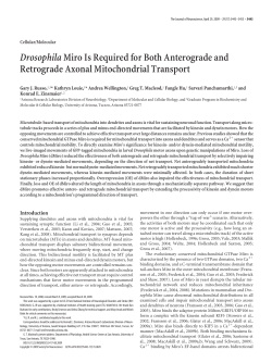 PDF - Journal of Neuroscience