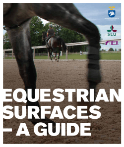 Equestrian surfaces &ndash; a guide