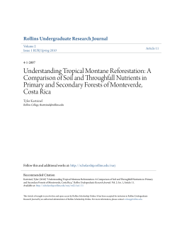 Understanding Tropical Montane Reforestation: A Comparison of