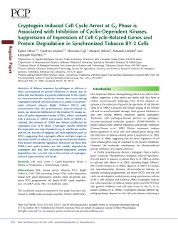 Cryptogein-Induced Cell Cycle Arrest at G2 Phase is Associated