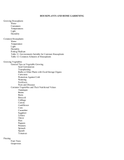 houseplants and home gardening