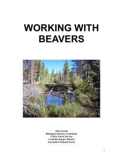 Beavers - Montana State University Extension