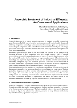 Anaerobic Treatment of Industrial Effluents: An