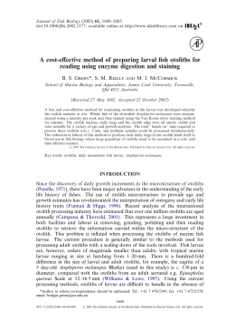 A cost-effective method of preparing larval fish otoliths for reading