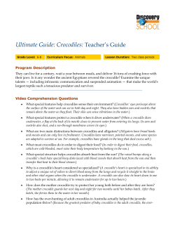 Teacher`s Guide Ultimate Guide: Crocodiles