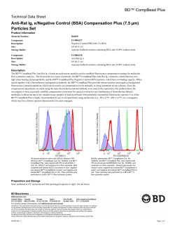 BD&trade; CompBead Plus Anti-Rat Ig, &kappa;/Negative Control (BSA