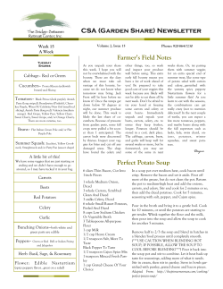 CSA (Garden Share) Newsletter Perfect Potato Soup