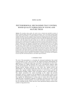 phytohormonal mechanisms that control wood quality formation in