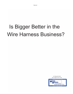 Is Bigger Better in the Wire Harness Business?