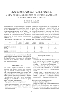 galathea-vol.08-pp_091-096