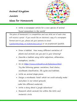 Animal Kingdom Juniors Ideas for Homework