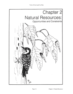 Town of Cary Land Use Plan Page 2
