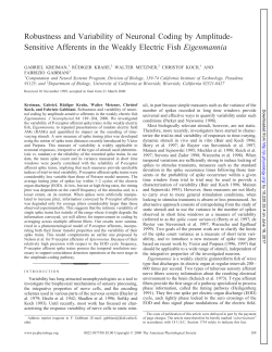 Sensitive Afferents in the Weakly Electric Fish Eigenmannia