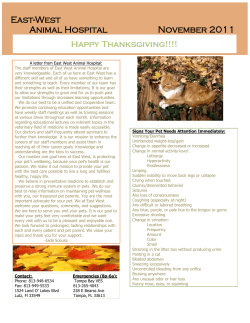 November 2010 - East-West Animal Hospital