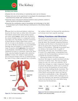 1495/Chapter 04 - Toronto District Christian High School