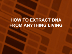 Basic DNA Extraction Technique